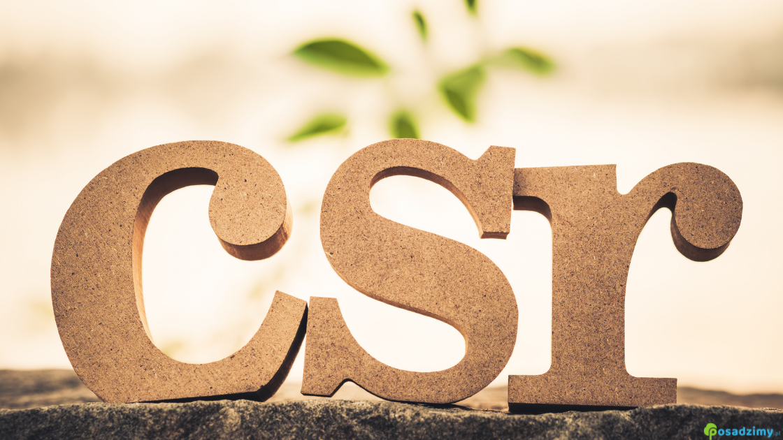 Read more about the article CSR jako klucz strategiczny: jak społeczna odpowiedzialność biznesu wspiera rozwój organizacji